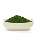 Organic Wheatgrass juice powder(25:1)